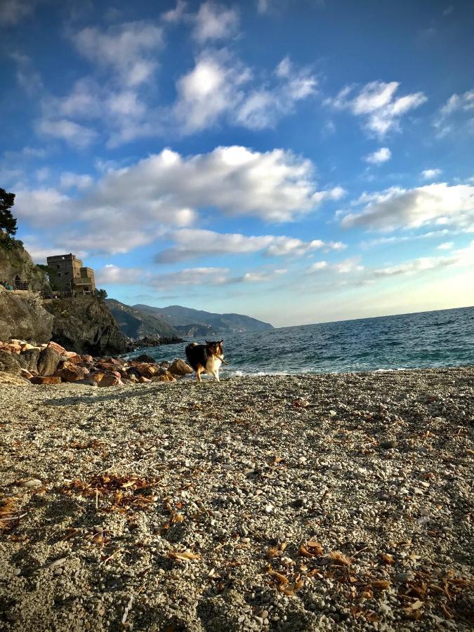 Ca Lea Beach House Monterosso al Mare Buitenkant foto